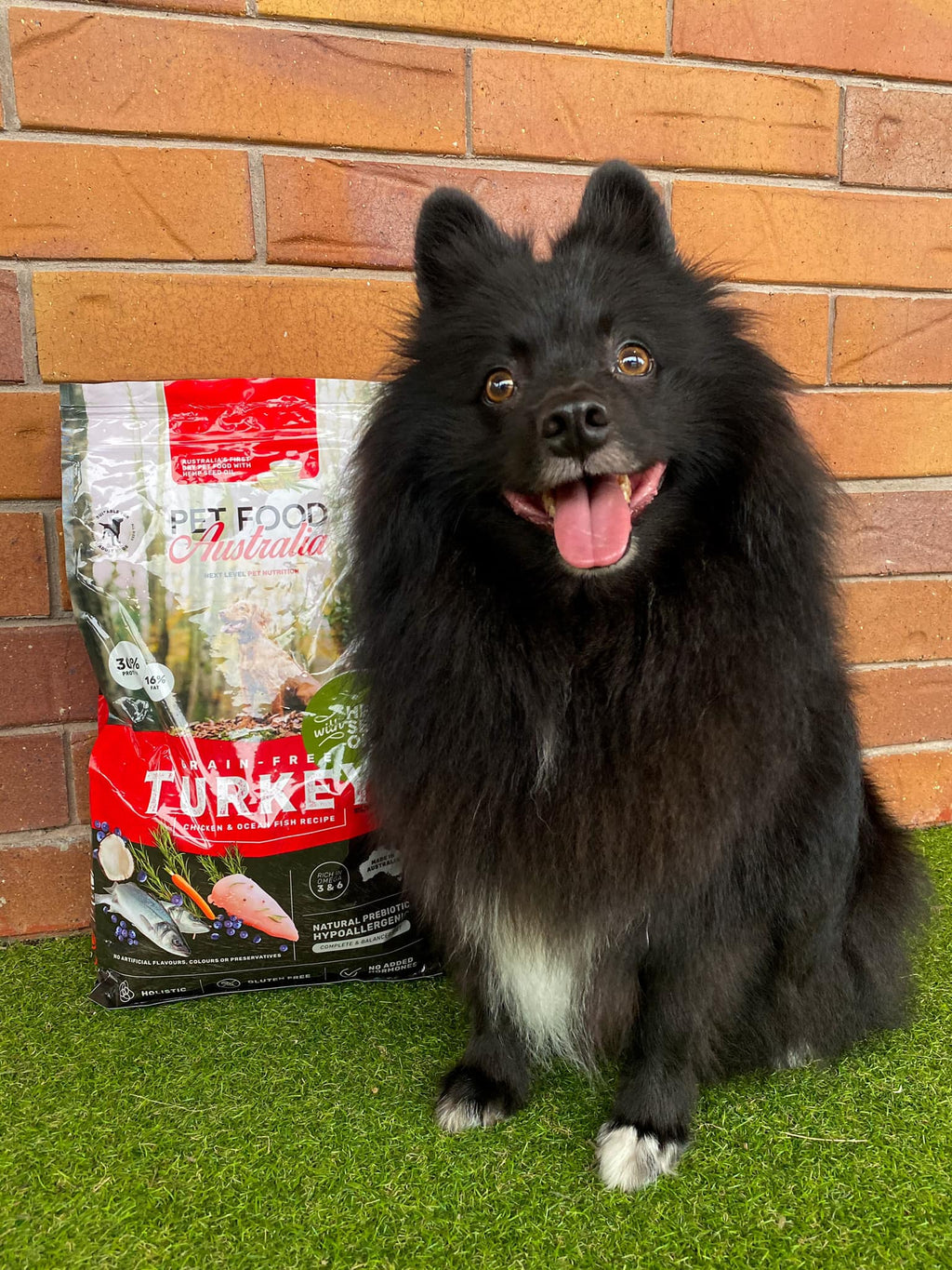 Turkey, Chicken & Ocean Fish Dry Dog Food with Hemp Seed Oil