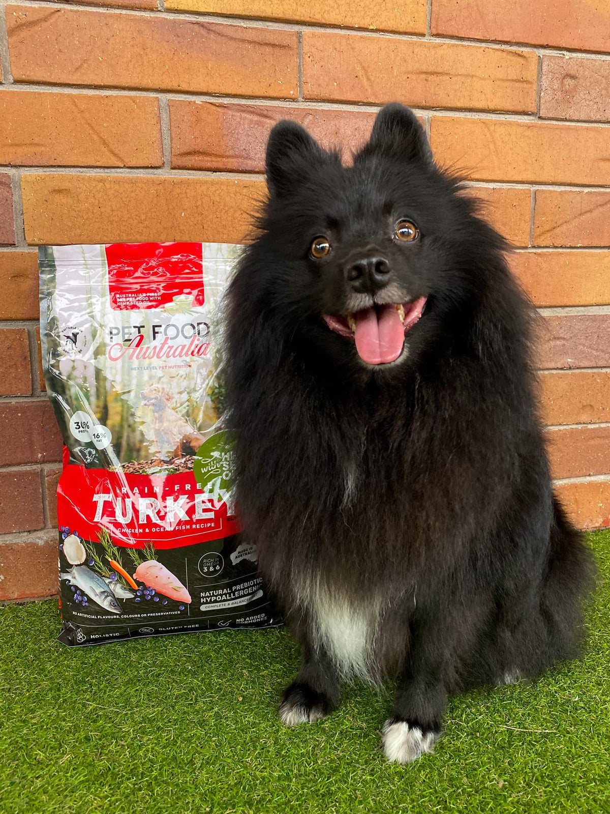 Turkey, Chicken & Ocean Fish Dry Dog Food with Hemp Seed Oil