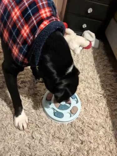 Slow Feeder Bowl IQ Puzzle - Interactive Pet Toy for Dogs and Cats