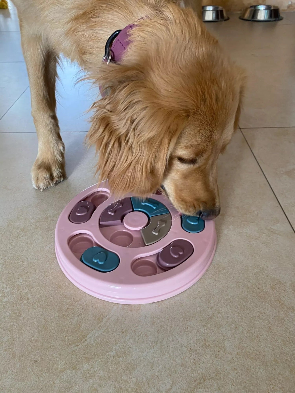 Slow Feeder Bowl IQ Puzzle - Interactive Pet Toy for Dogs and Cats