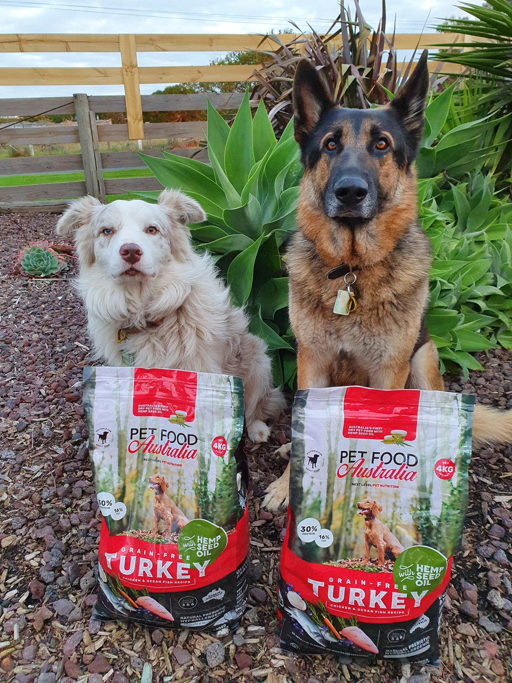 Turkey, Chicken & Ocean Fish Dry Dog Food with Hemp Seed Oil