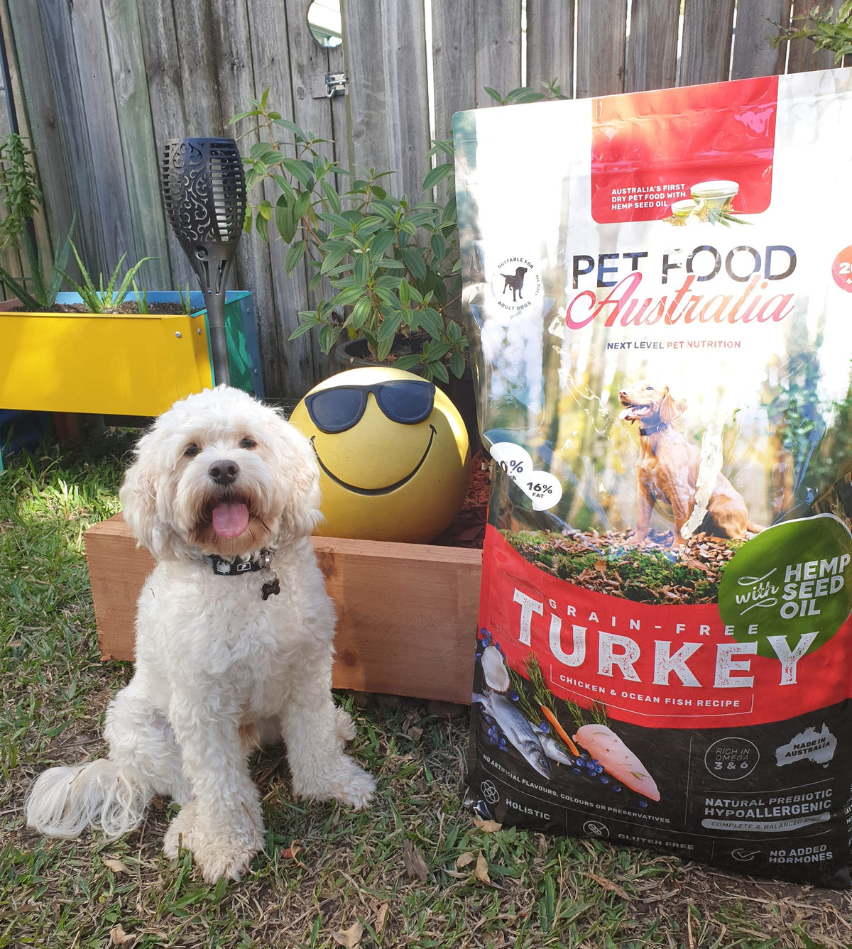 Turkey, Chicken & Ocean Fish Dry Dog Food with Hemp Seed Oil