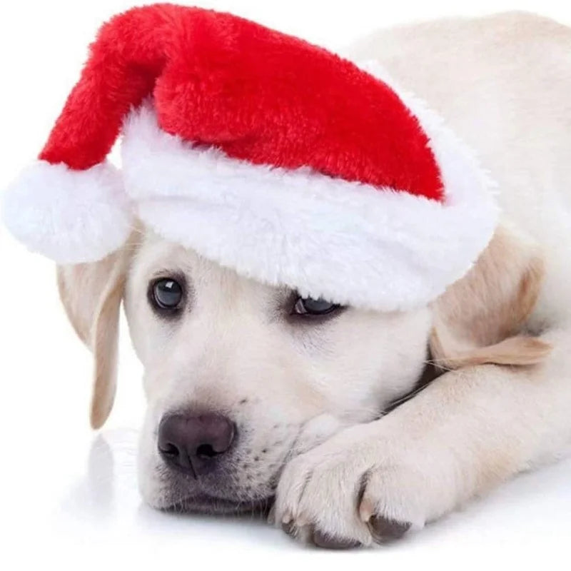 Pet Santa Hat — Adjustable Christmas Hat for Dogs & Cats | 2 Designs Available