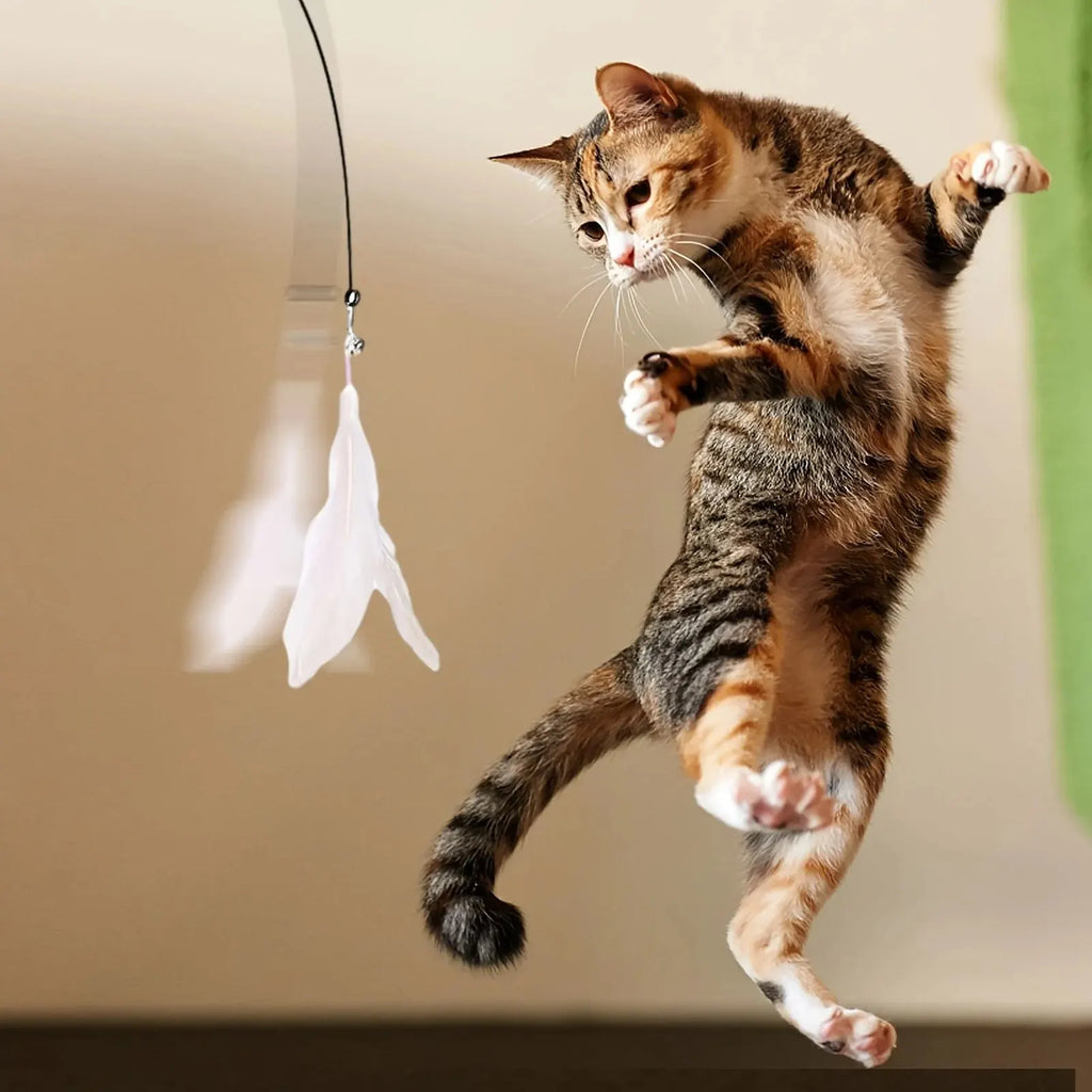 Interactive Cat Feather Wand — Suction Cup Toy with Bell, 85cm Long