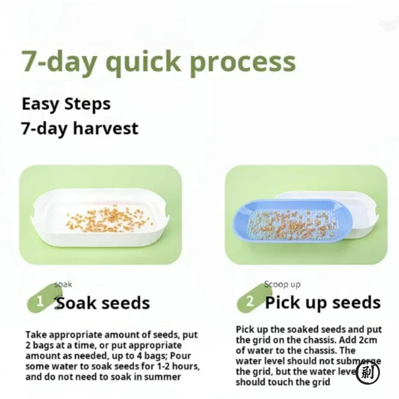 Hydroponic Cat Grass Box — Soilless Growing Kit, 7-Day Harvest
