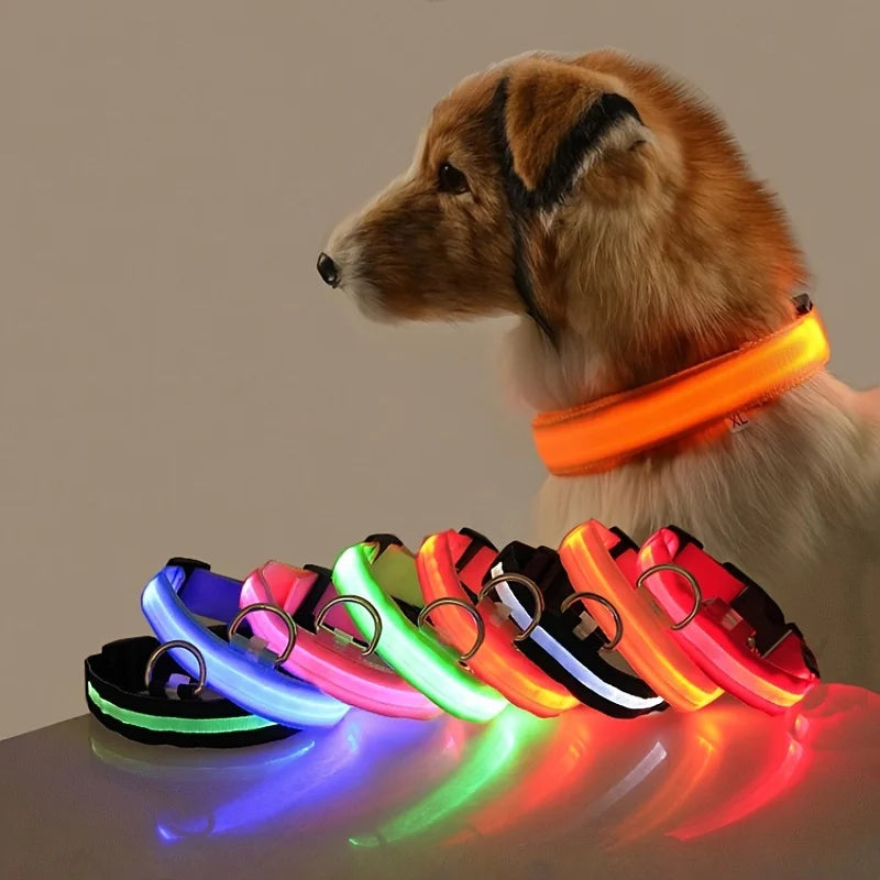 LED Night Safety Dog Collar