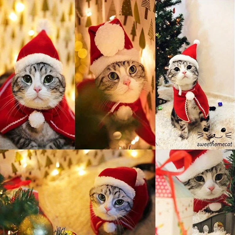 Pet Santa Hat — Adjustable Christmas Hat for Dogs & Cats | 2 Designs Available