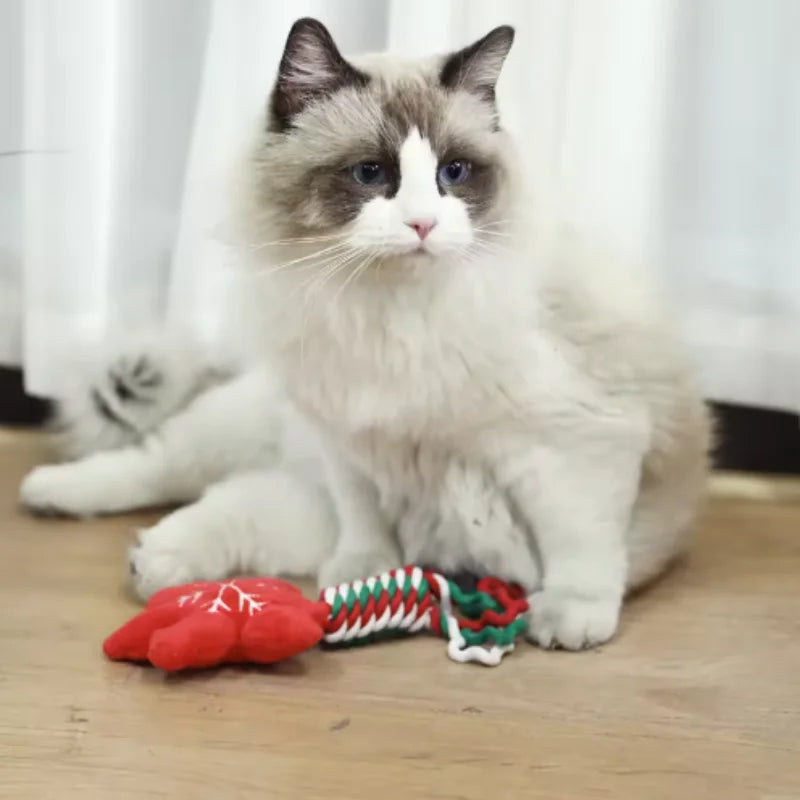 Christmas Dog Rope Chew Toys — Interactive Squeaky Festive Set | PetGoodsUK