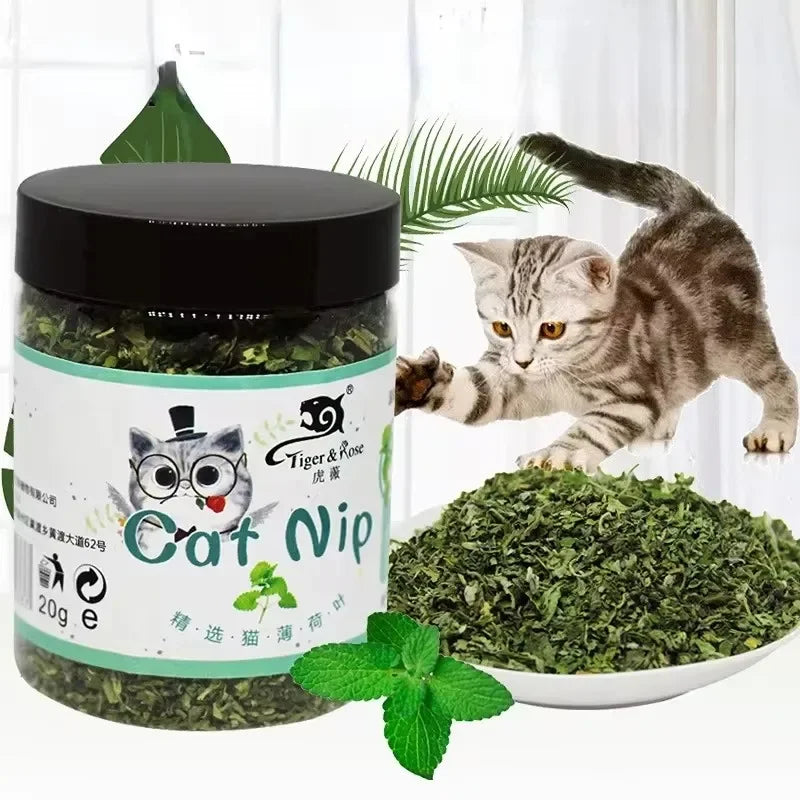 Organic Catnip — 100% Natural Premium Dried Catnip for Cats