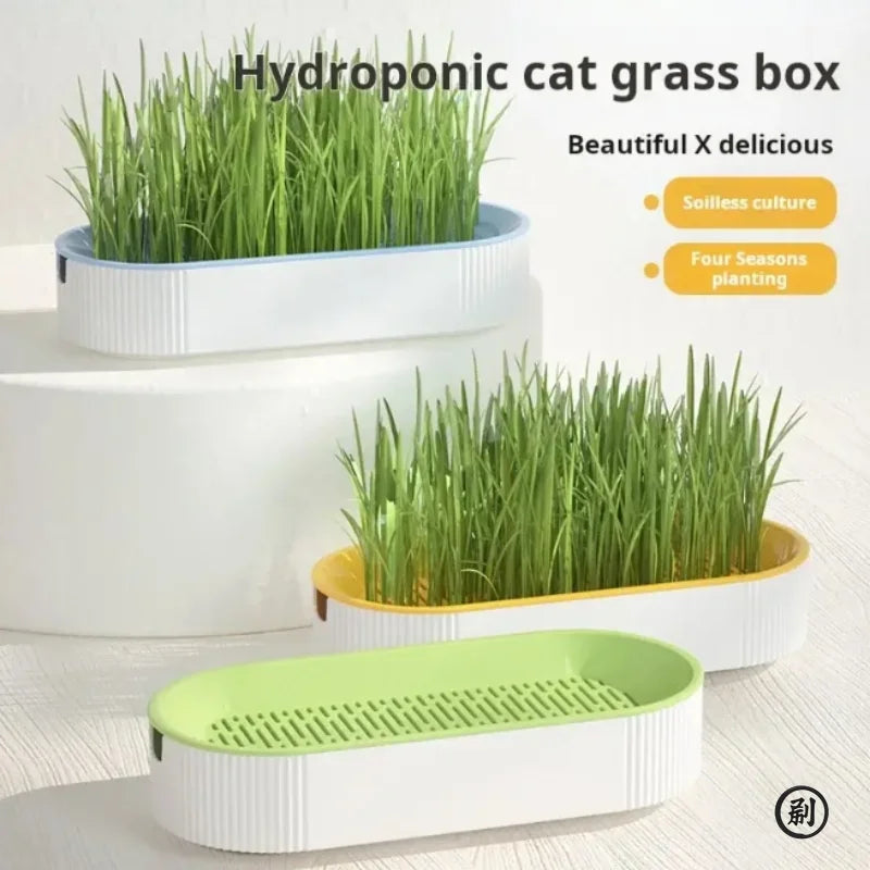 Hydroponic Cat Grass Box — Soilless Growing Kit, 7-Day Harvest