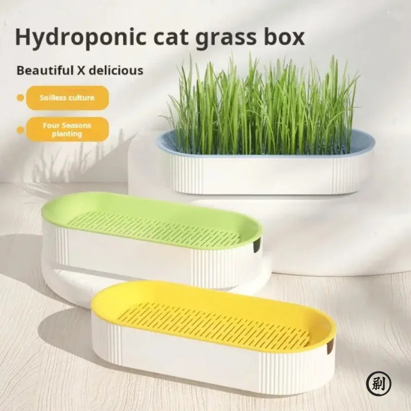 Hydroponic Cat Grass Box — Soilless Growing Kit, 7-Day Harvest