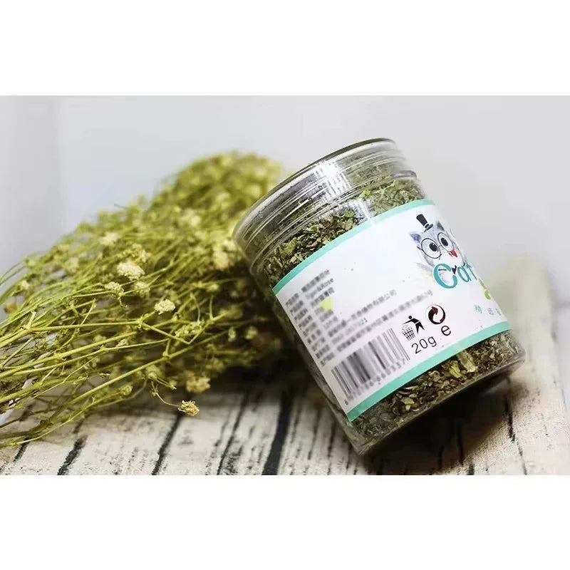 Organic Catnip — 100% Natural Premium Dried Catnip for Cats