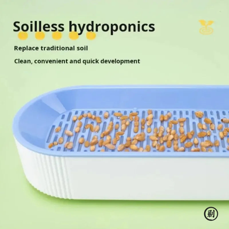 Hydroponic Cat Grass Box — Soilless Growing Kit, 7-Day Harvest