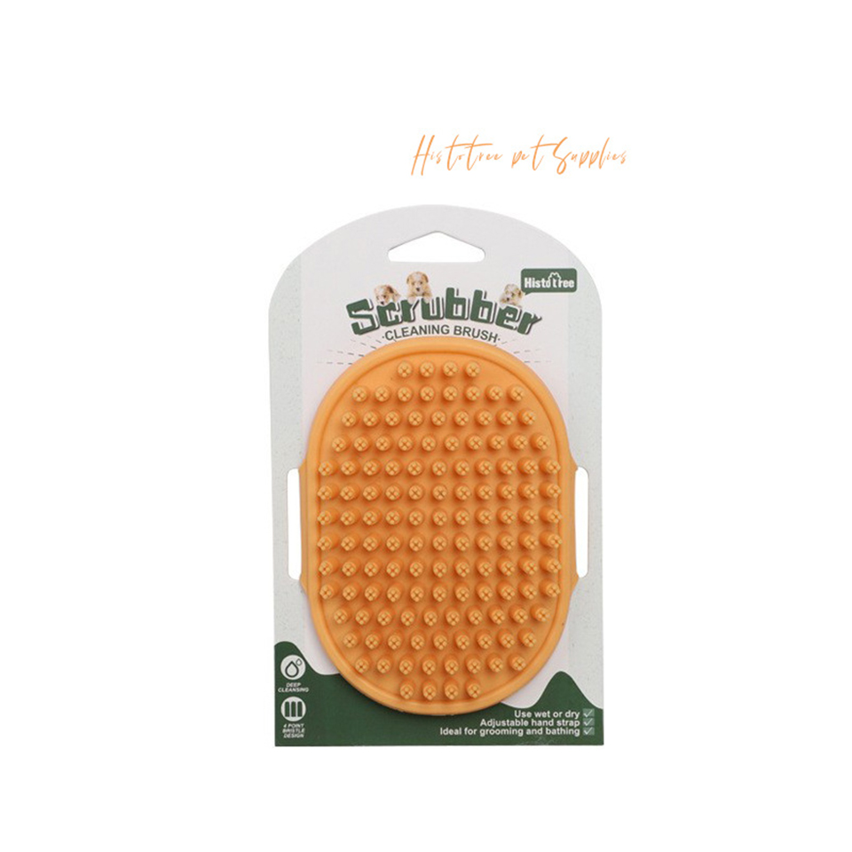main.png