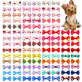 main.png