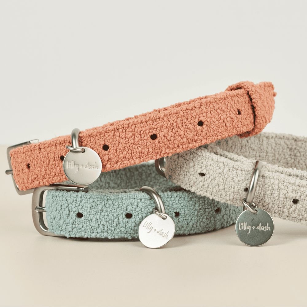 Basic Adjustable Dog Collar – Durable Nylon
